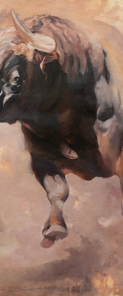 Light & Dust 4 (study) by Zil Hoque