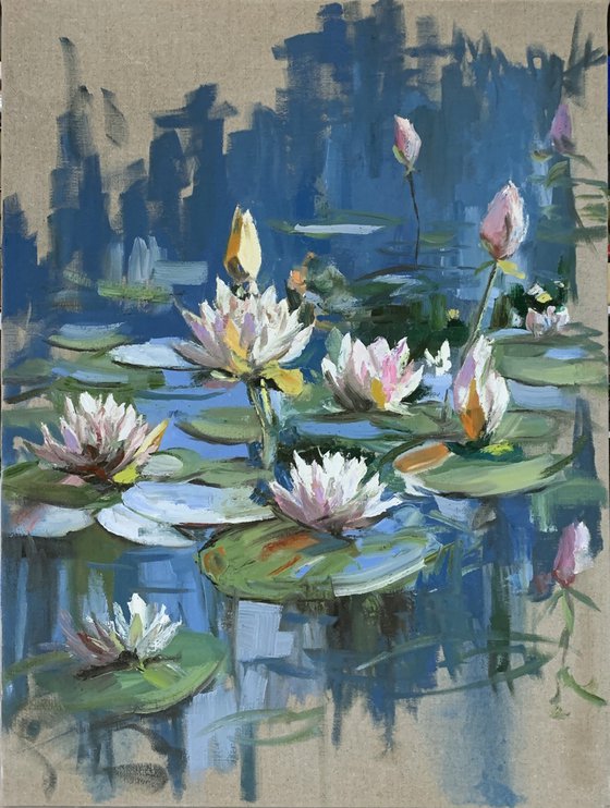 Water Lily Symphony.pond.