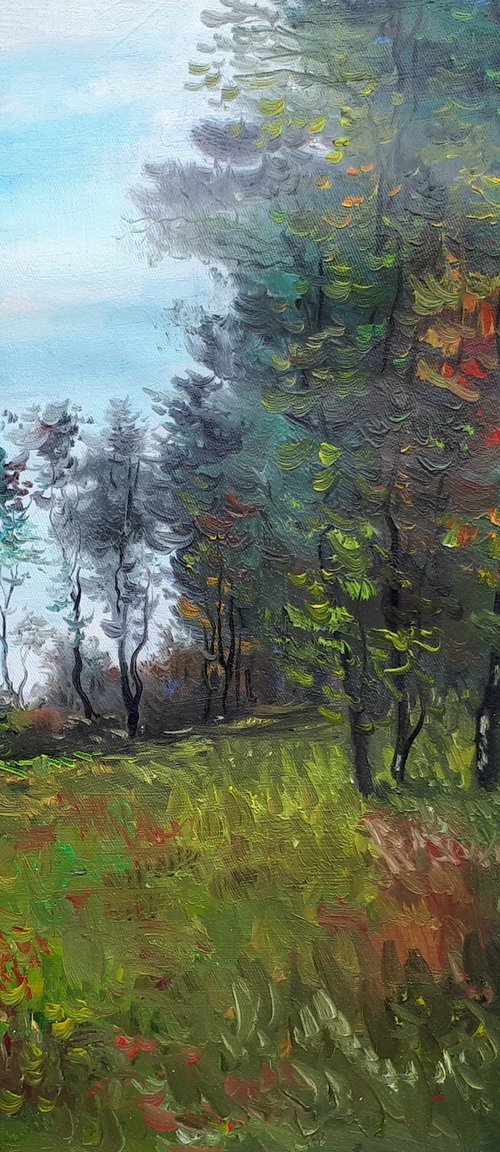 Landscape by Constantin Galceava