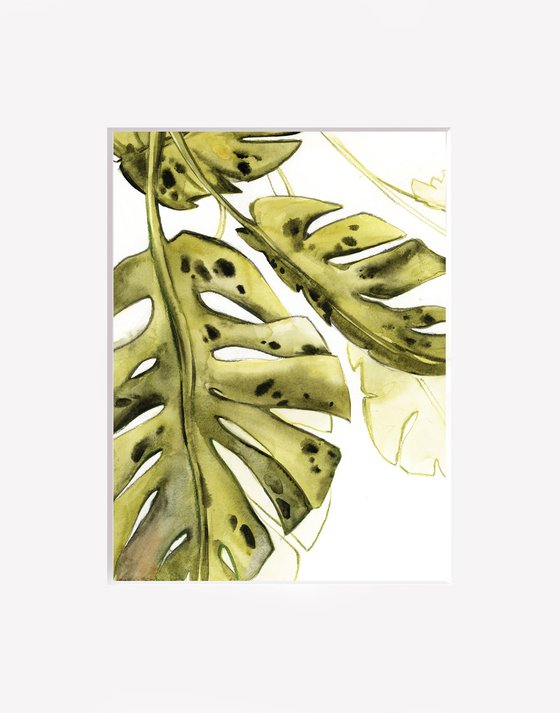 Monstera leaf watercolor paintings 3 set
