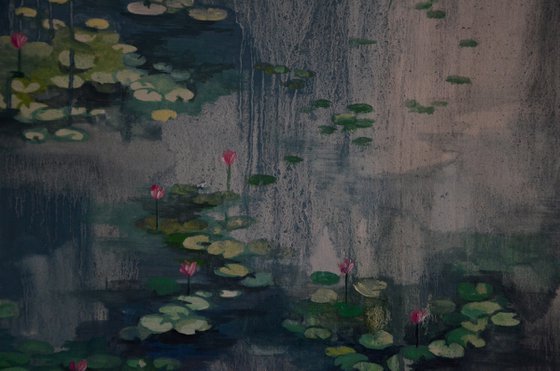 Lily pond. Petrichor