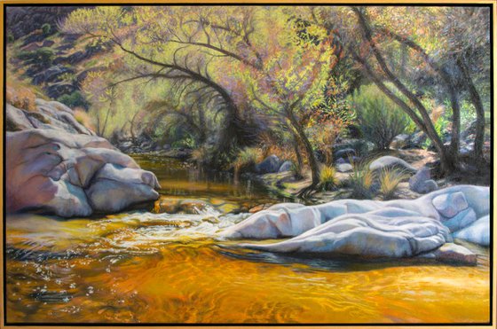 Romero Canyon In Spring