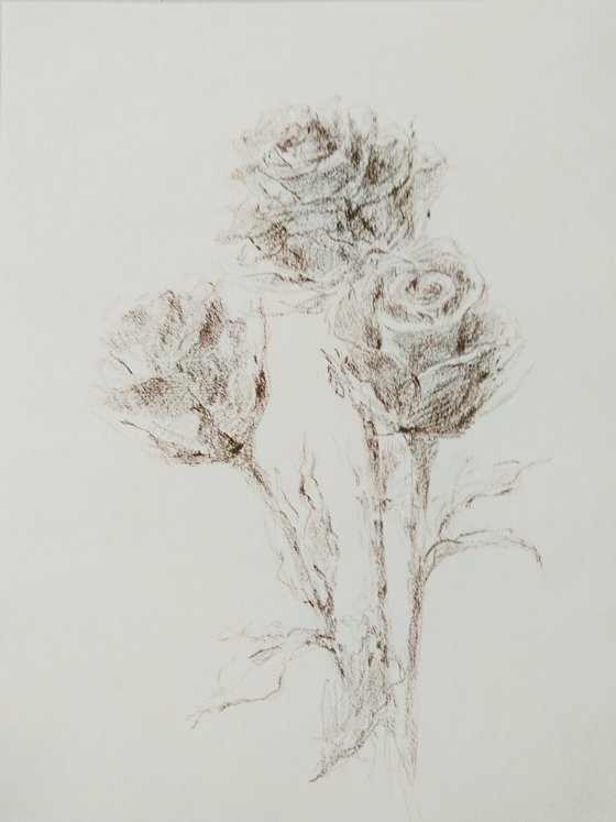 Roses #1. Original pencil drawing