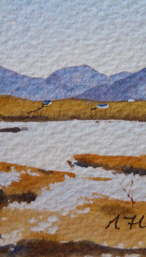 Connemara by Maire Flanagan