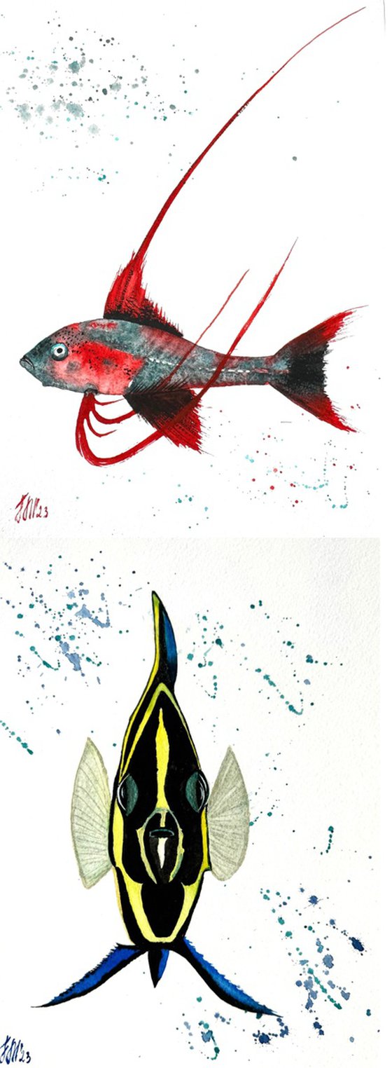 Exotic Red Black fish Diptych