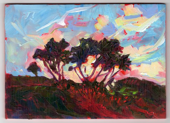 Sunset Trees, Blakeney