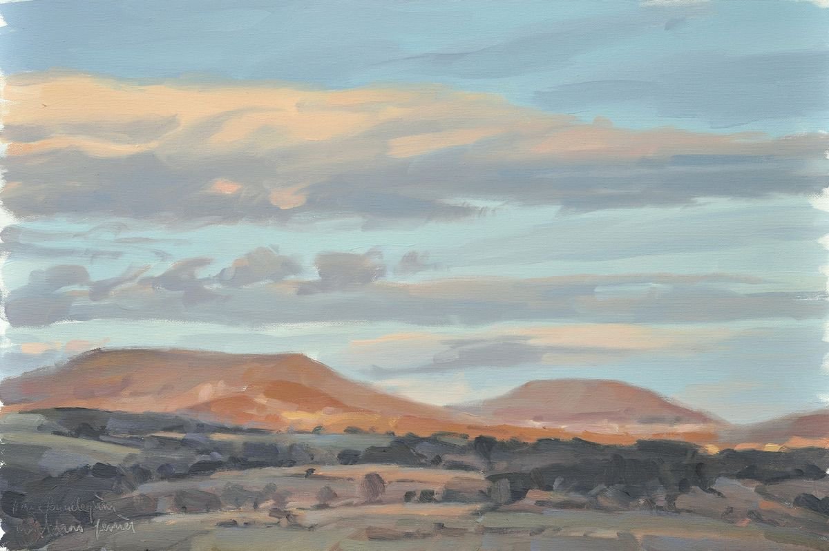 Impressionistic Landscape Oil Painting By Anne Baudequin, 30 X 20, February 23, Evening Light, Original Artwork