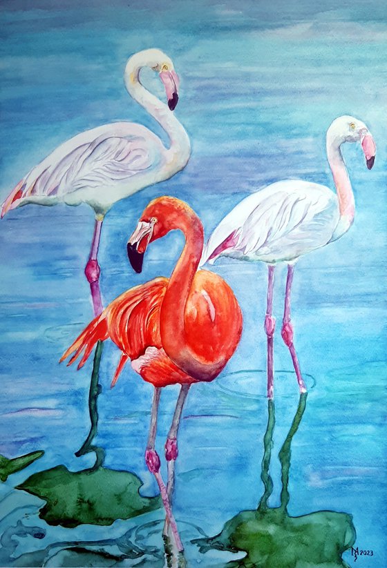 PRETTY FLAMINGOS