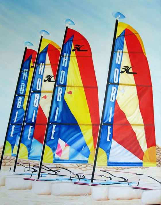 Hobie Cats