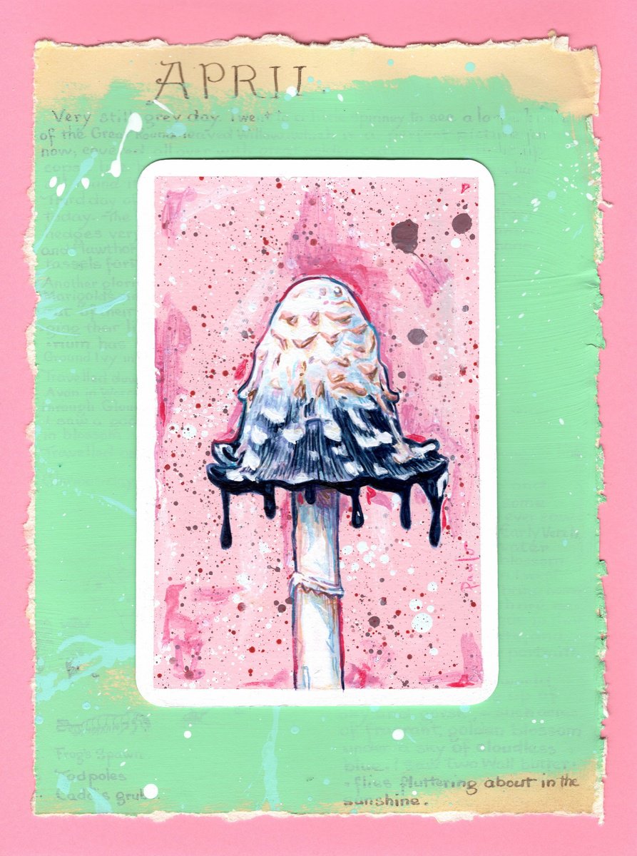 Illustrative Botanical Acrylic Painting By Paul Ward, 8 X 10", Shaggy Ink Cap Mushroom, Original Artwork