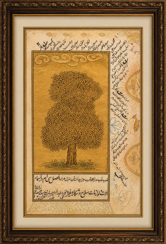 Antique Banyan Tree with Persian Calligraphy