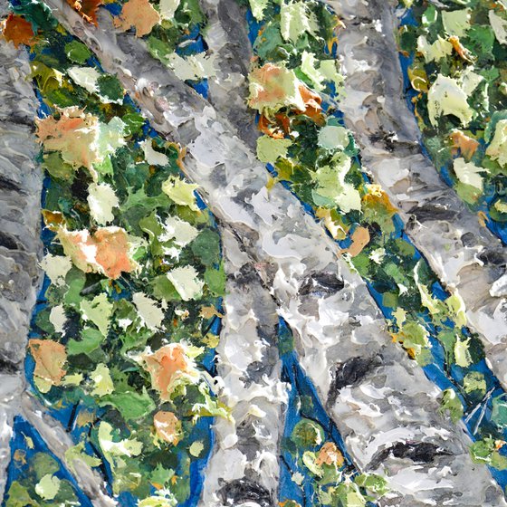 Birchlight Reverie Textured Aspen Trees