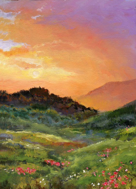 Hills with flowers at sunset