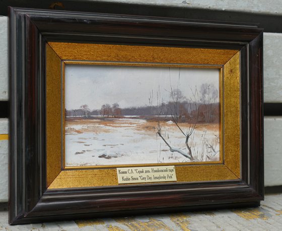 Gray day. Izmailovsky park