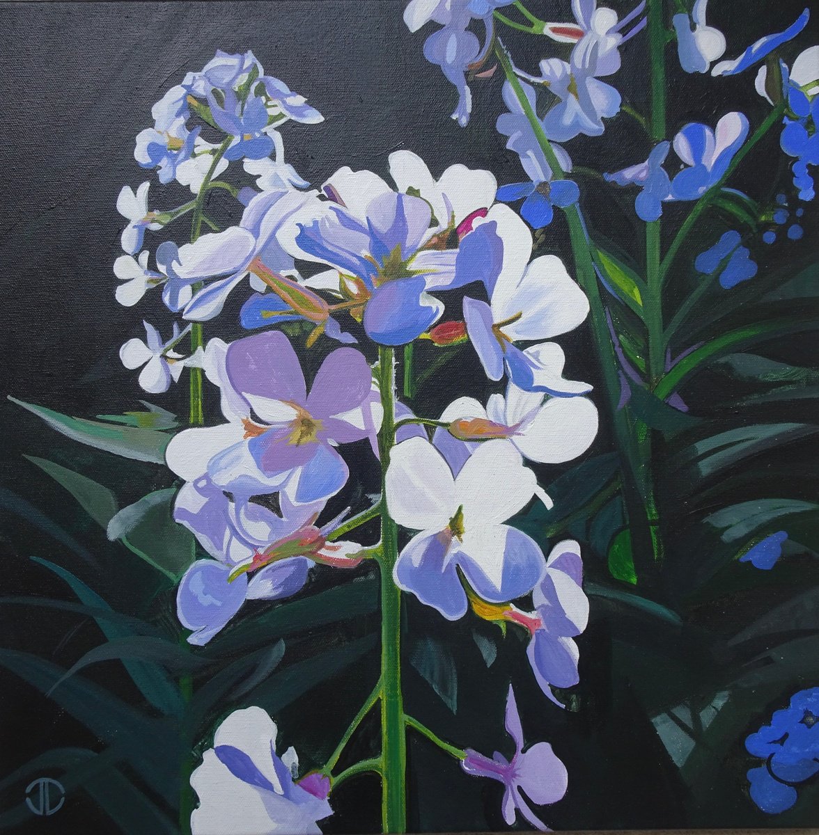 Impressionistic Botanical Acrylic Painting By Joseph Lynch, 20 X 20, Sweet Rocket, Original Artwork