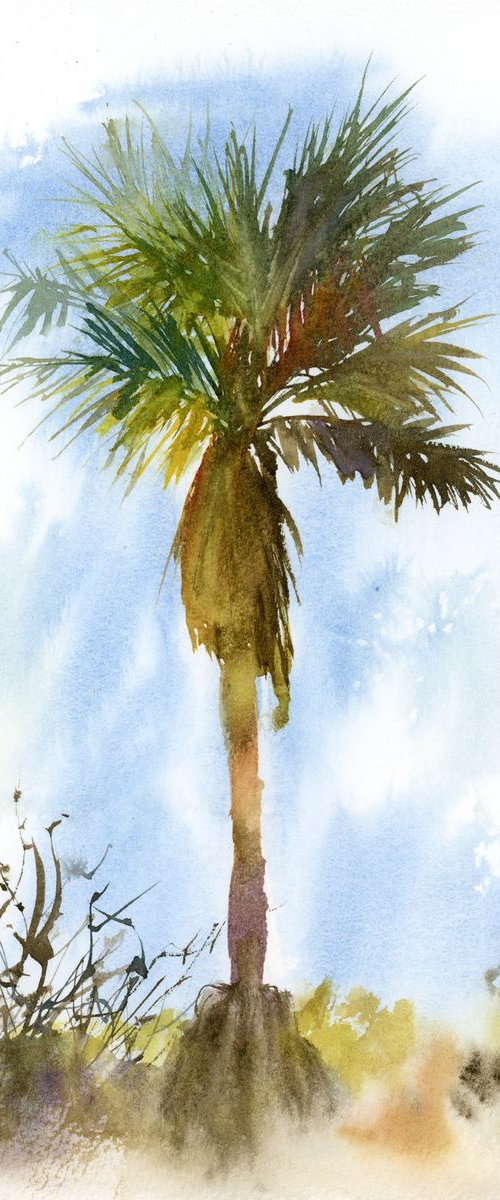 Palm by Olga Tchefranov (Shefranov)