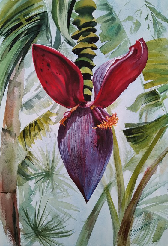 Banana Flower