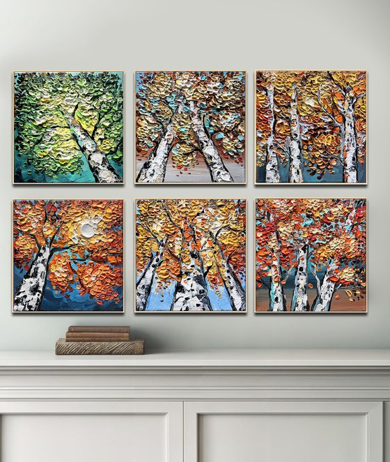 Birch Collection
