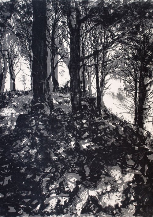 Winter Woodland 1 by Aidan Flanagan Irish Landscapes