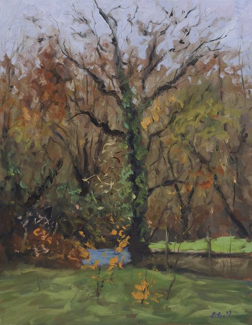 Autumnal Trees By The River by Robert Mee