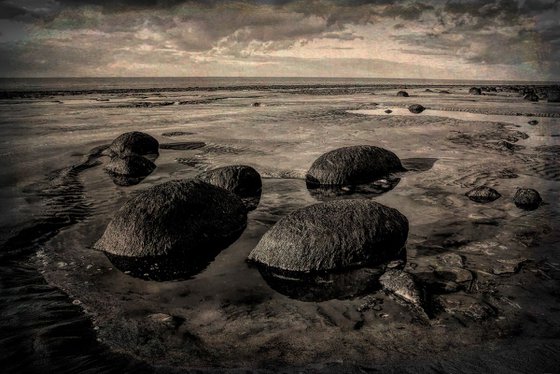 Beach Sentinals