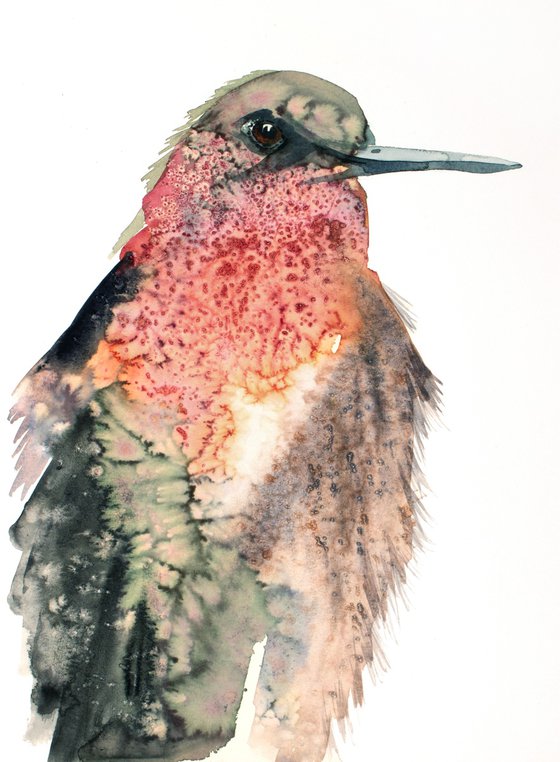 Hummingbird No. 7