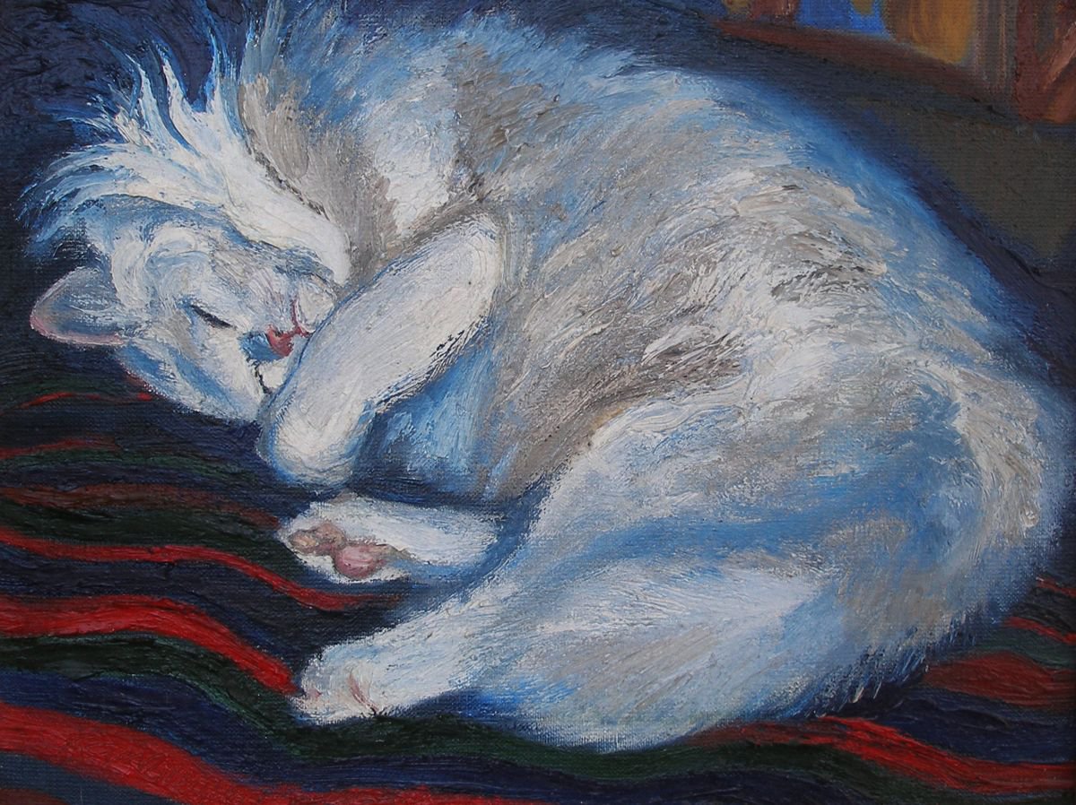 White cat sleeps by Olena Kamenetska-Ostapchuk