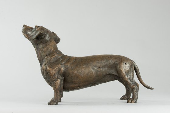 'Maddie' Dachshund Bronze Res