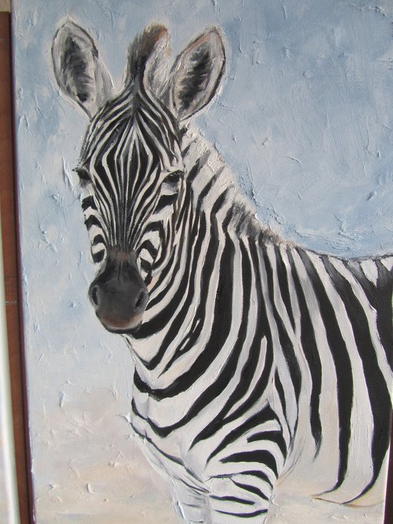 White-to-Black Zebras
