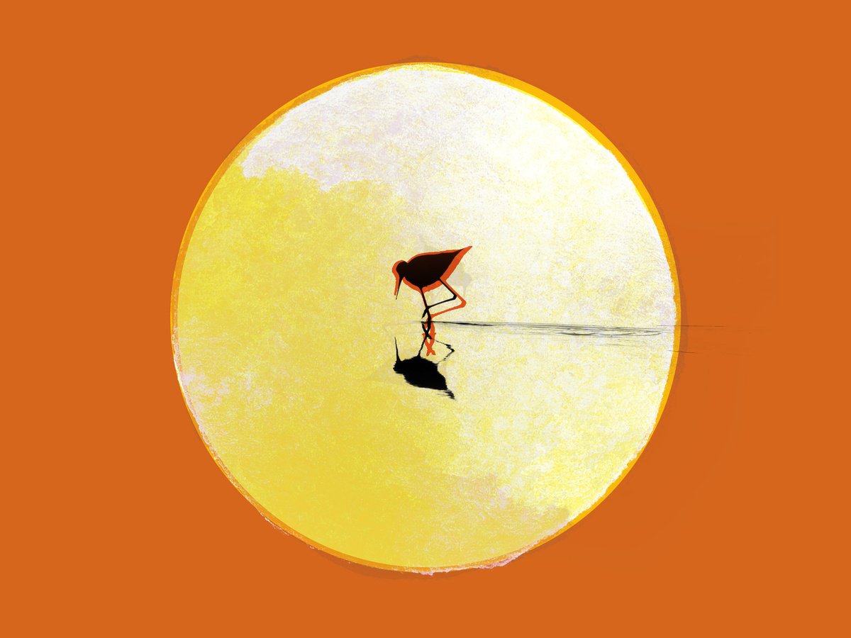Surrealistic Giclee Print , In The Spotlight By Mark Skirving, 25 X 19, Artwork For Sale On Artfinder