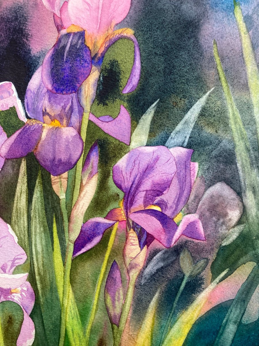 Impressionistic Botanical Watercolour By Silvie Wright, 10 X 14", Summer Iris, Original Artwork