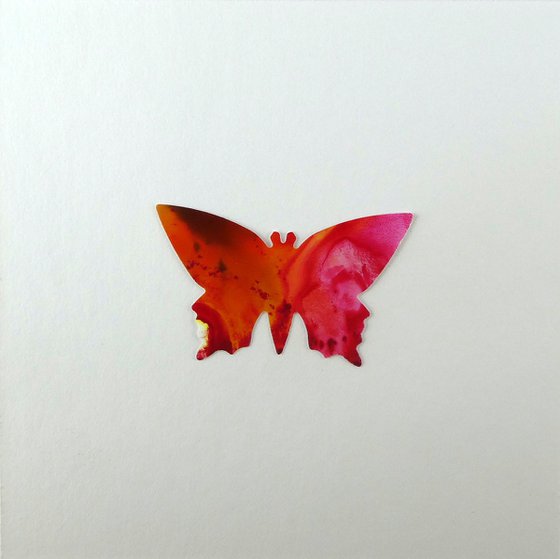 One Pink and Orange Butterfly