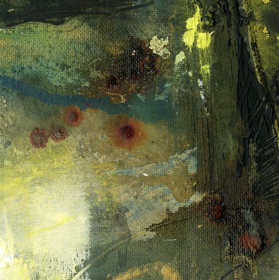 Stranosogno