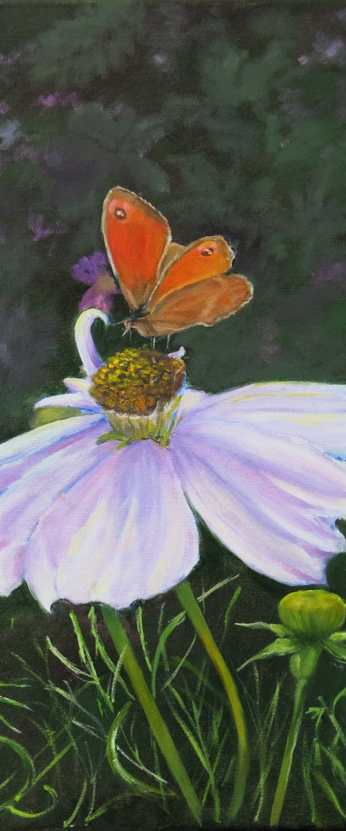 Cosmos and Gatekeeper butterfly by Maureen Greenwood