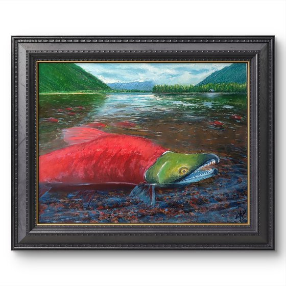 Journey of the Sockeye