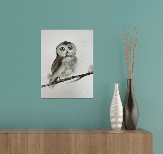 Little owl on a branch #3