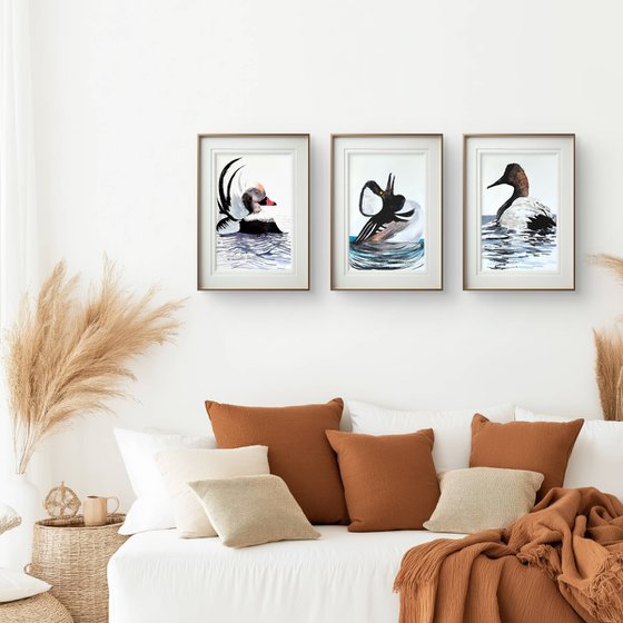 3 Wild drakes Mallard duck