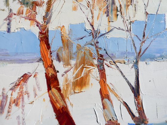 " Spring sun "
