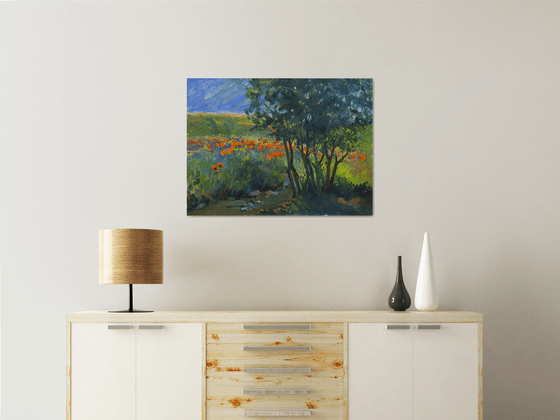 Summer Meadow Reflections