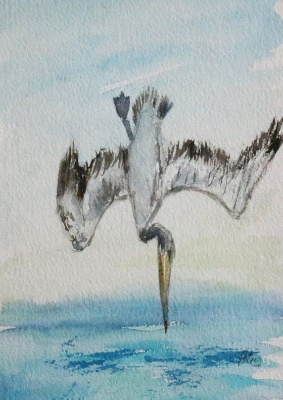 Diving Pelican