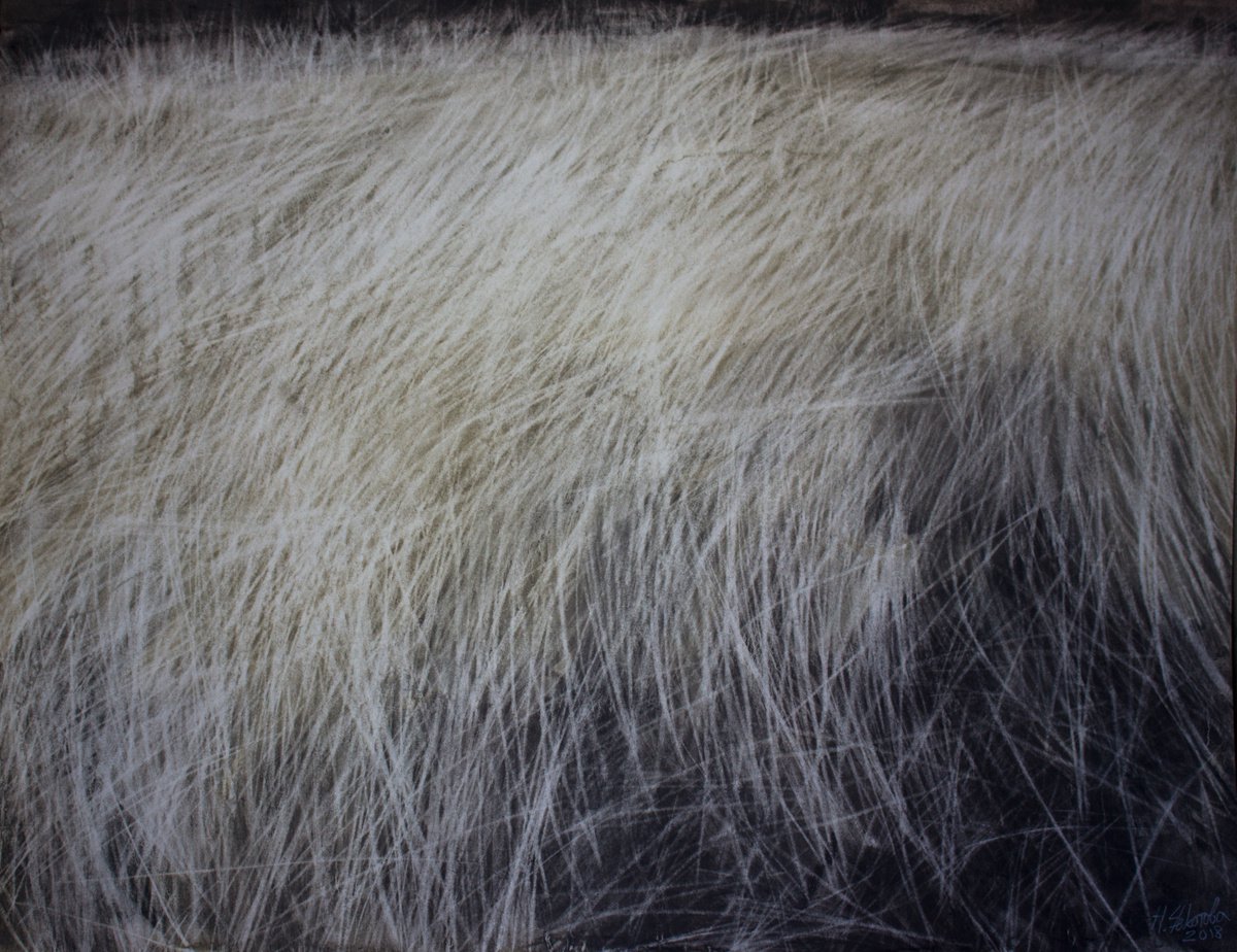 Dried grass by Natalia Chekotova