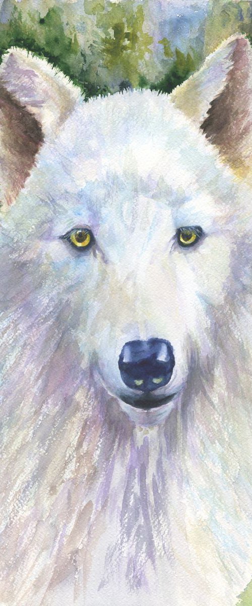 Lone Wolf by Jenny Alsop