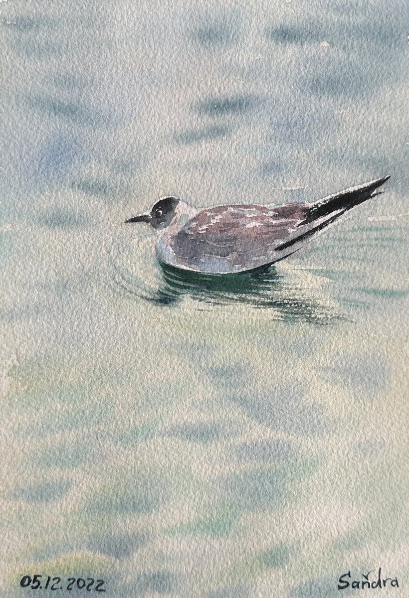 Impressionistic Watercolour , Seagull And The Sound Of Water By Oleksandra Padushyna, 7 X 10, Artwork For Sale On Artfinder