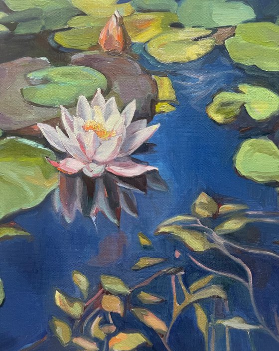 Water lilies at sunset 72.2 cm/50 cm (2022)