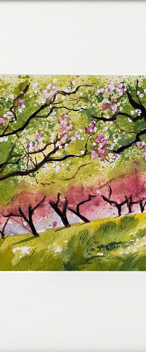 Blossom time by Teresa Tanner