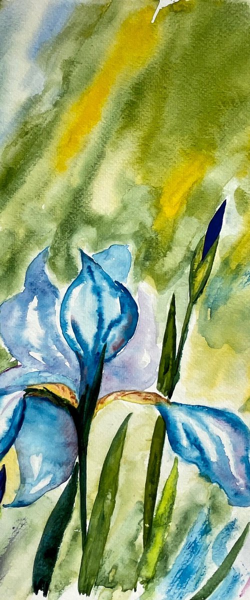 Iris Painting by Halyna Kirichenko