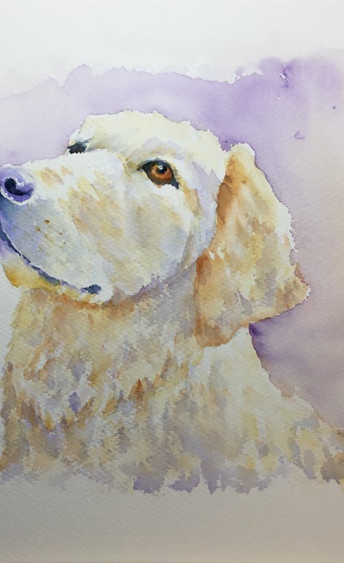 Golden Retriever by Sabrina’s Art