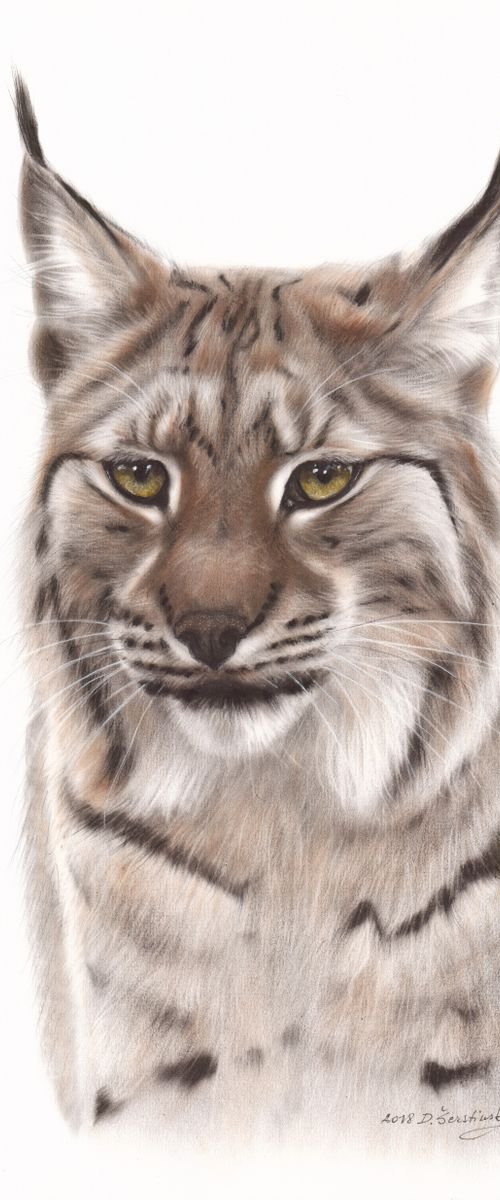 Sweety by Danguole Serstinskaja