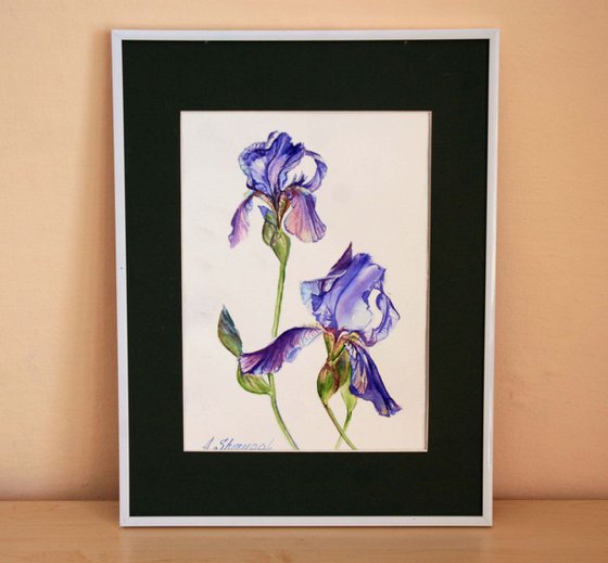 Purple irises Original watercolor painting, photorealistic stille, flowers, floral, botanical wall art
