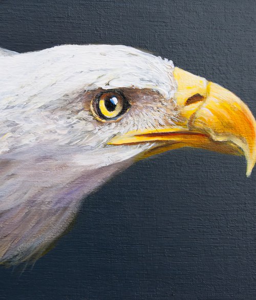 Eagle head by Norma Beatriz Zaro